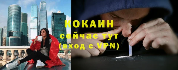 ПСИЛОЦИБИНОВЫЕ ГРИБЫ Семёнов