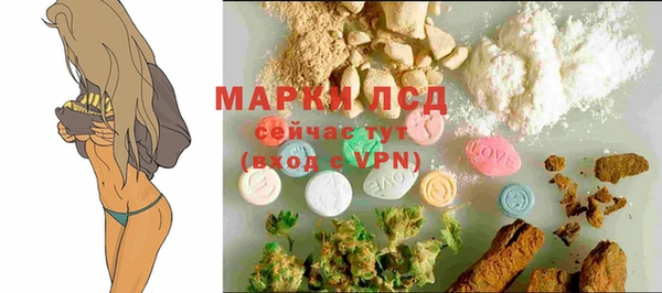 ПСИЛОЦИБИНОВЫЕ ГРИБЫ Семёнов